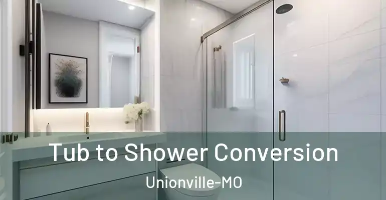 inner Bathroom imggen Tub to Shower Conversion Unionville-MO