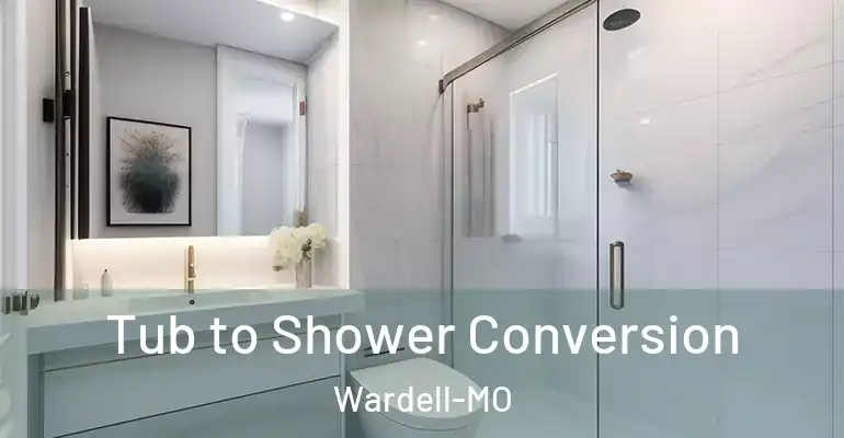 inner Bathroom imggen Tub to Shower Conversion Wardell-MO