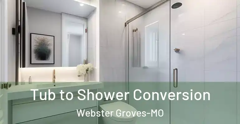 inner Bathroom imggen Tub to Shower Conversion Webster Groves-MO