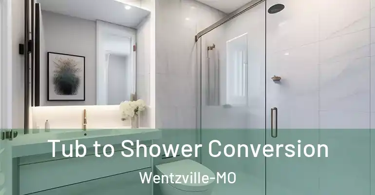 inner Bathroom imggen Tub to Shower Conversion Wentzville-MO