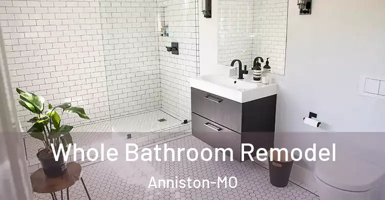 inner Bathroom imggen Whole Bathroom Remodel Anniston-MO