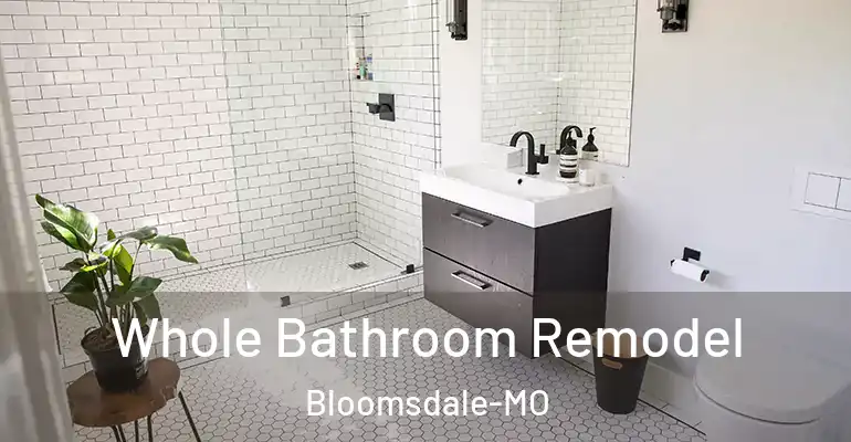inner Bathroom imggen Whole Bathroom Remodel Bloomsdale-MO