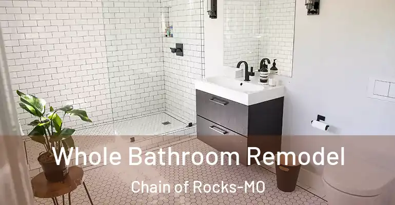 inner Bathroom imggen Whole Bathroom Remodel Chain of Rocks-MO