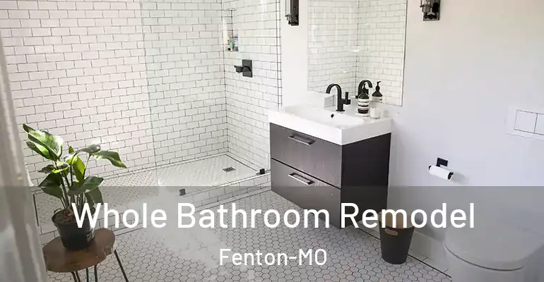 inner Bathroom imggen Whole Bathroom Remodel Fenton-MO