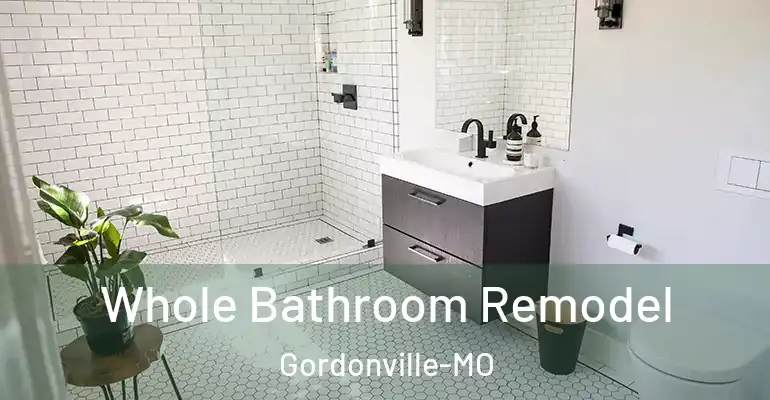 inner Bathroom imggen Whole Bathroom Remodel Gordonville-MO
