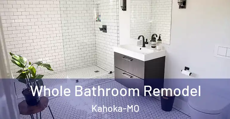inner Bathroom imggen Whole Bathroom Remodel Kahoka-MO