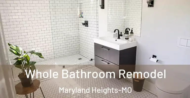 inner Bathroom imggen Whole Bathroom Remodel Maryland Heights-MO