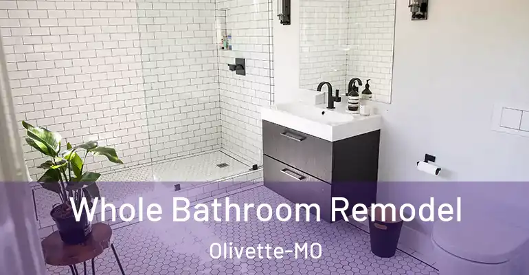 inner Bathroom imggen Whole Bathroom Remodel Olivette-MO