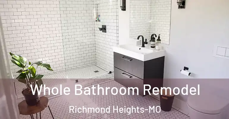 inner Bathroom imggen Whole Bathroom Remodel Richmond Heights-MO