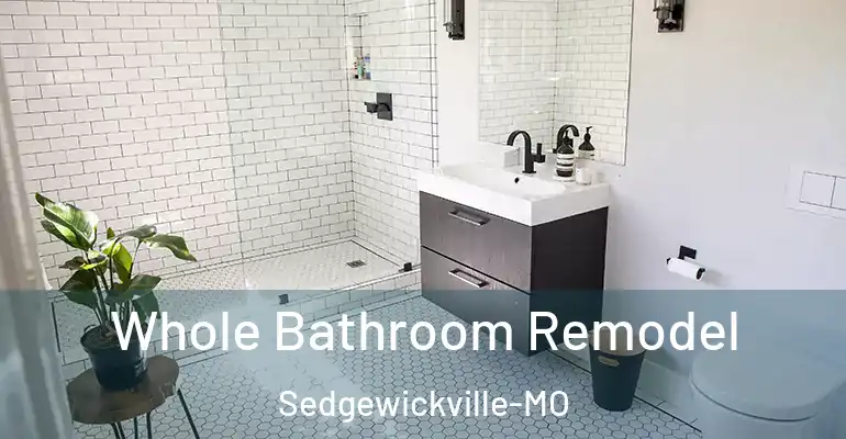inner Bathroom imggen Whole Bathroom Remodel Sedgewickville-MO