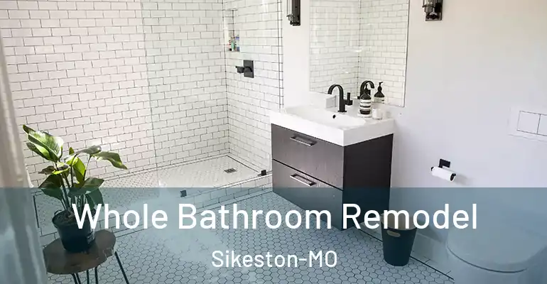 inner Bathroom imggen Whole Bathroom Remodel Sikeston-MO