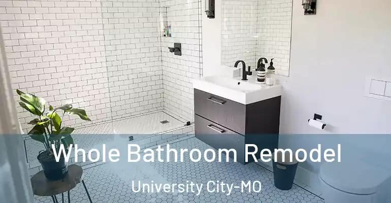 inner Bathroom imggen Whole Bathroom Remodel University City-MO