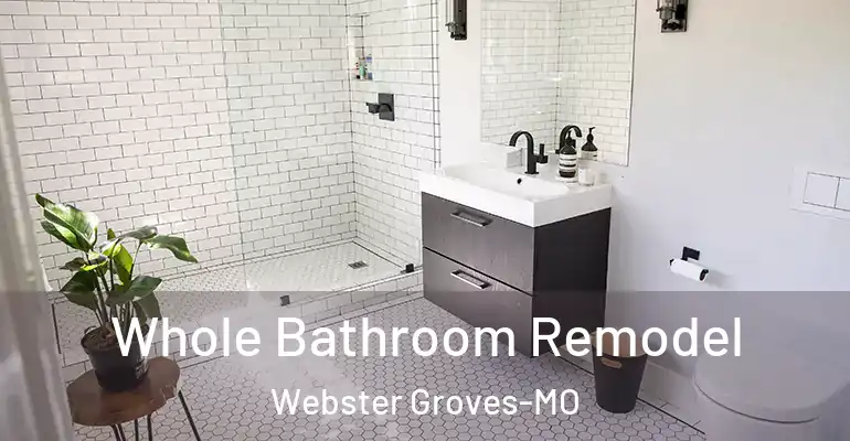 inner Bathroom imggen Whole Bathroom Remodel Webster Groves-MO
