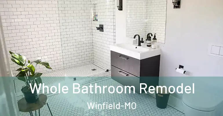 inner Bathroom imggen Whole Bathroom Remodel Winfield-MO